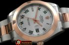 R2DJ0192G - SS/RG Oyster White Roman Asian Eta 2836-2