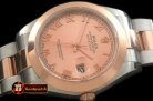 R2DJ0193G - SS/RG Oyster R-Gold Roman Asian Eta 2836-2