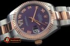 RMDJ204D - SS/RG Oyster Purple Roman Asia 2836
