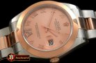 R2DJ0192E - SS/RG Oyster R-Gold Roman Asian Eta 2836-2