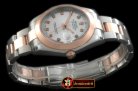 R2DJ0194C - SS/RG Oyster White Diam Asian Eta 2836-2