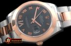 R2DJ0192D - SS/RG Oyster Grey Roman Asian Eta 2836-2