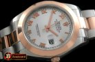 R2DJ0193C - SS/RG Oyster White Roman Asian Eta 2836-2