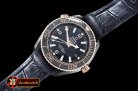 Omega Planet Ocean GMT Deep Black Sedna PVD/LE A5833 Mod